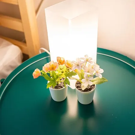 Colorful Flat With Excellent Location Near Trendy Attractions In Kadikoy Daire İstanbul
